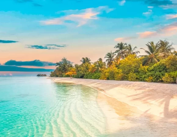 Dhigufaru Island Resort Maldives Tour Package