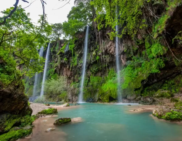 5 Days & 4 Nights Salalah Tour Package from Saudi Arabia