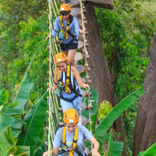 Adventure Opportunities