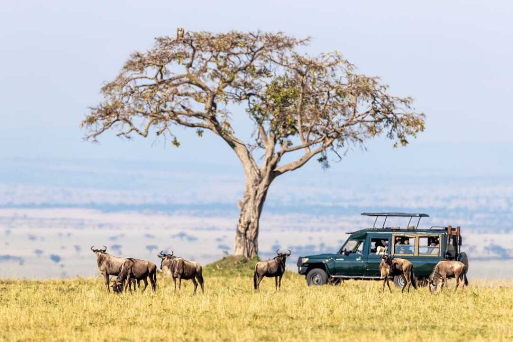 Kenya Tours