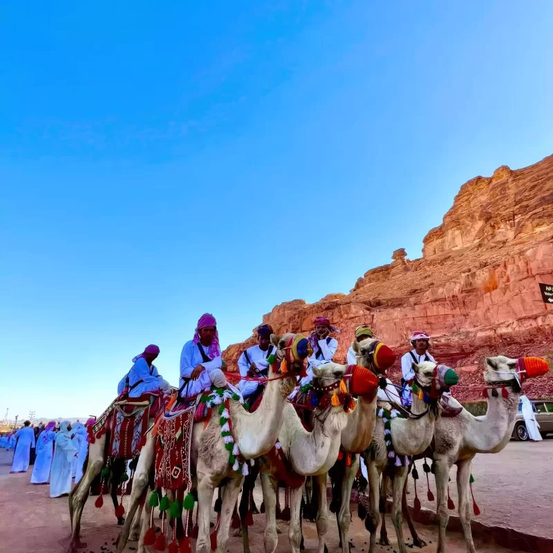 Camel Trekking in Al-Ula​
