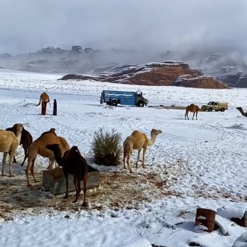Jabal Al-Lawz (Tabuk Region)​