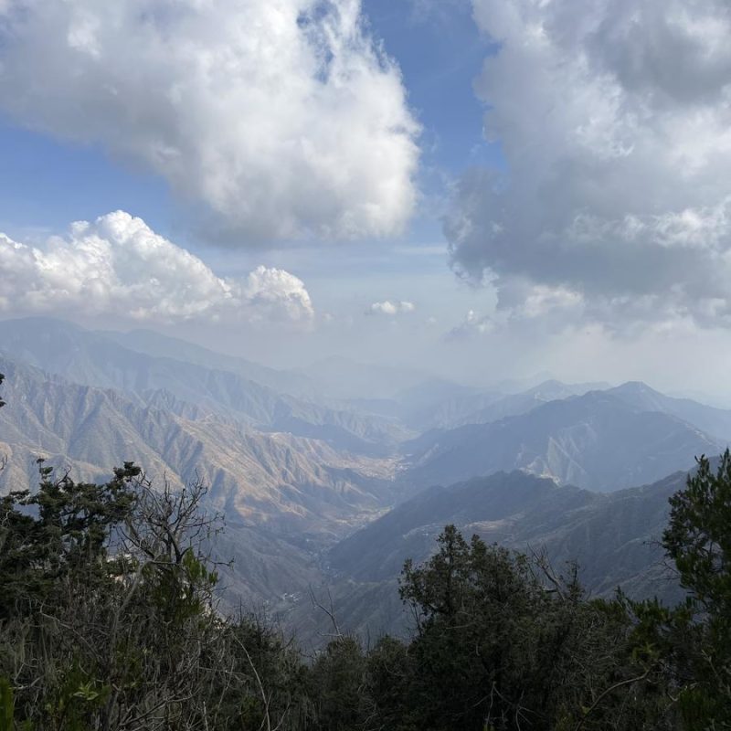 Jabal Sawda (Asir Region)​