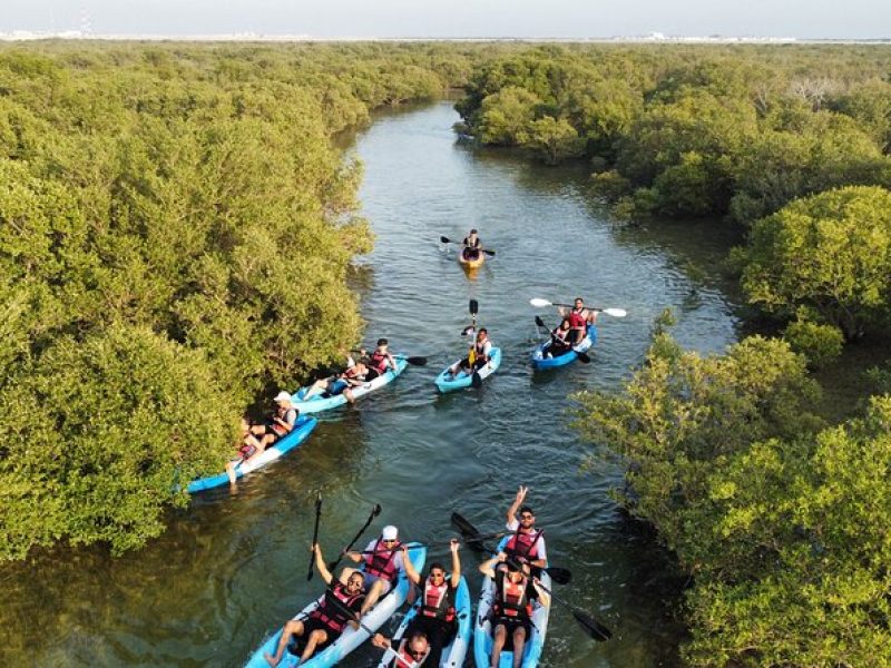 Mangrove Kayaking in Al-Lith & Yanbu​