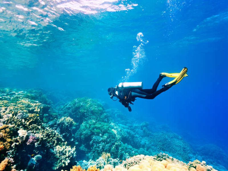 Snorkeling in Umluj