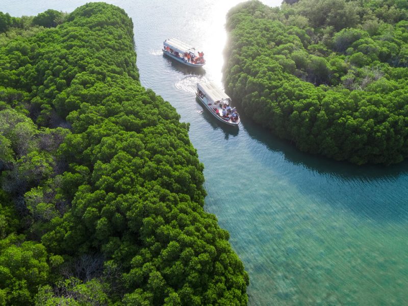 The Farasan Islands (Jazan)_